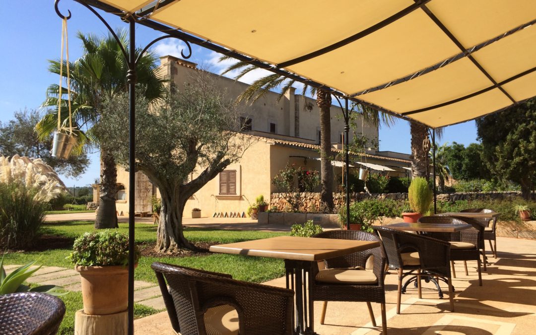 Shade and Style: Choosing the Ideal Awning for an Outside Space