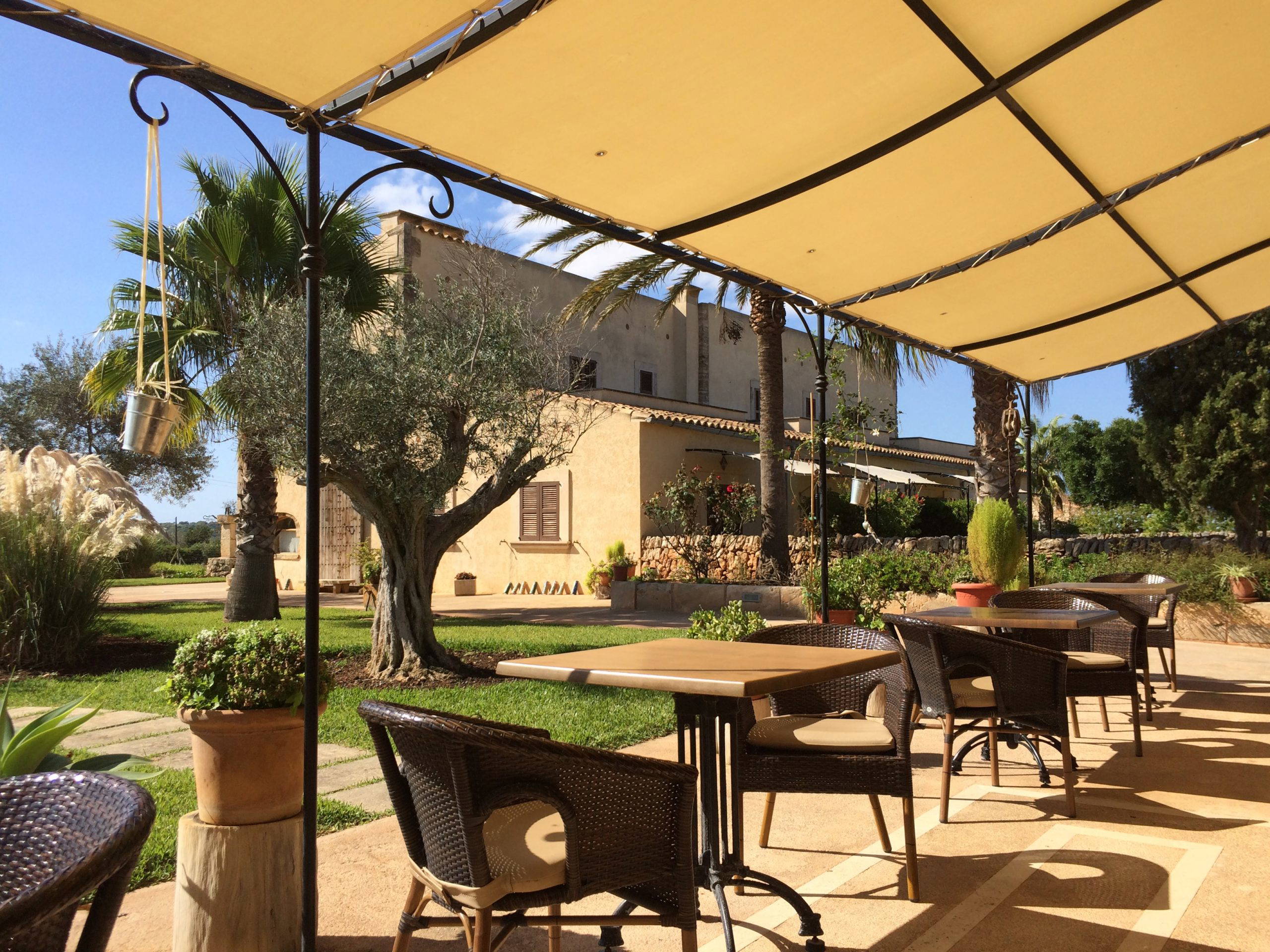 5 simple steps for cleaning an Awning