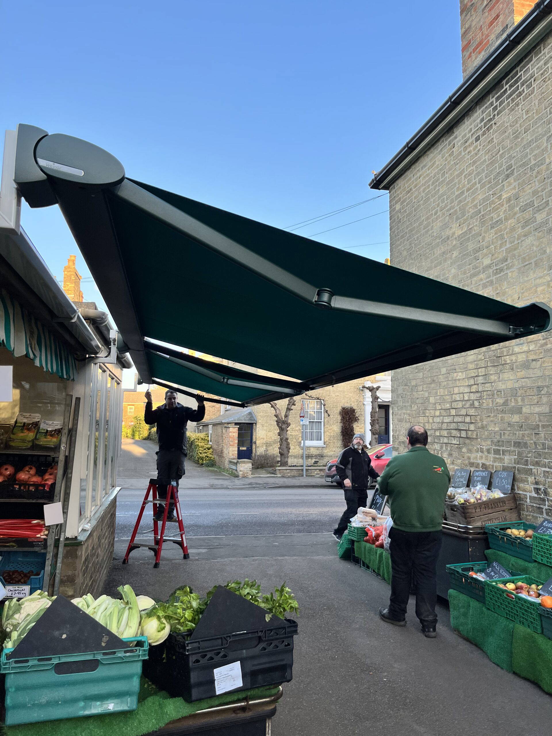 Outdoor Screens System